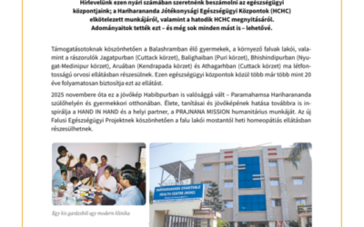 Nyári hírlevél 2026